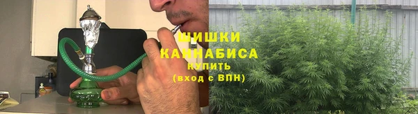 сатива Баксан