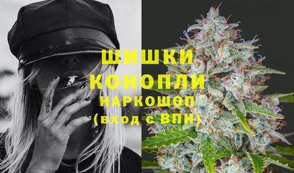 сатива Баксан